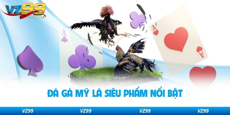 Đá gà Mỹ là siêu phẩm nổi bật