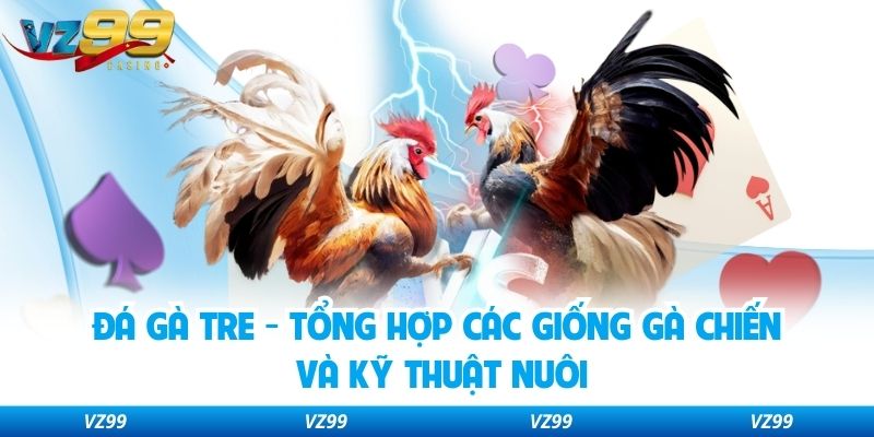 Đá Gà Tre - Tổng Hợp Các Giống Gà Chiến Và Kỹ Thuật Nuôi