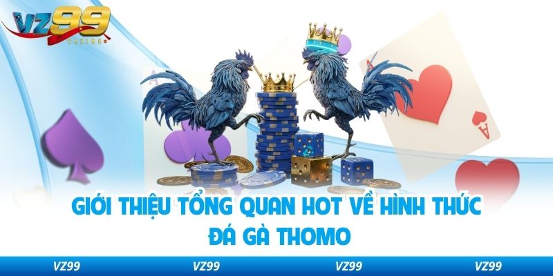 Giới thiệu tổng quan hot về hình thức đá gà Thomo 