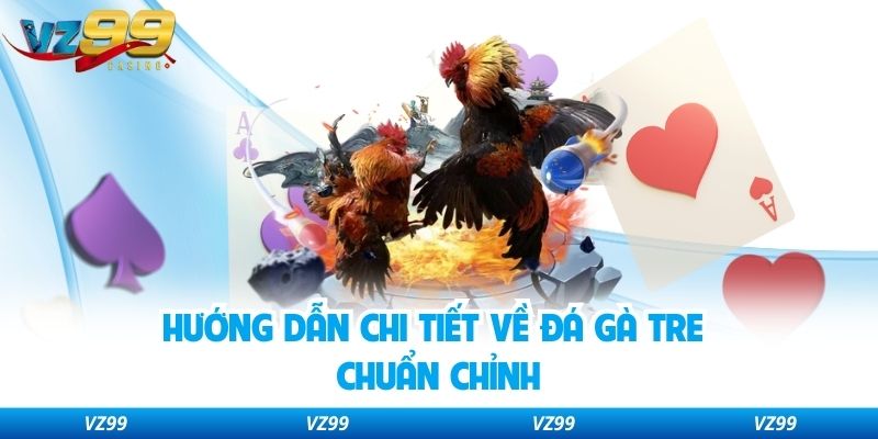 Hướng dẫn chi tiết về đá gà tre chuẩn chỉnh