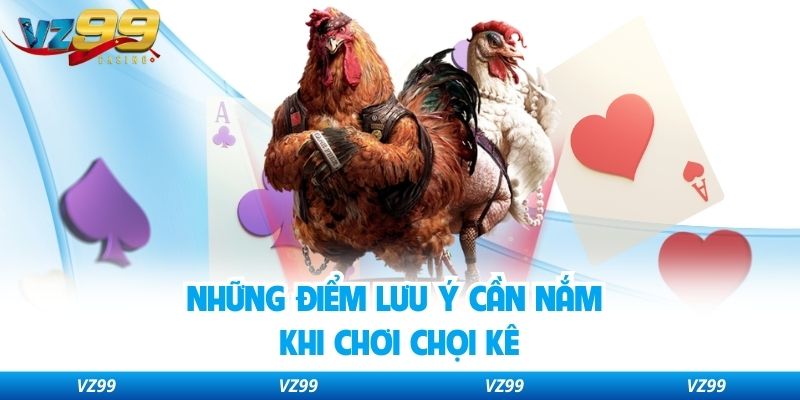 Những điểm lưu ý cần nắm khi chơi chọi kê