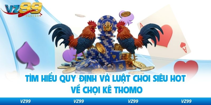 Tìm hiểu quy định và luật chơi siêu hot về chọi kê Thomo