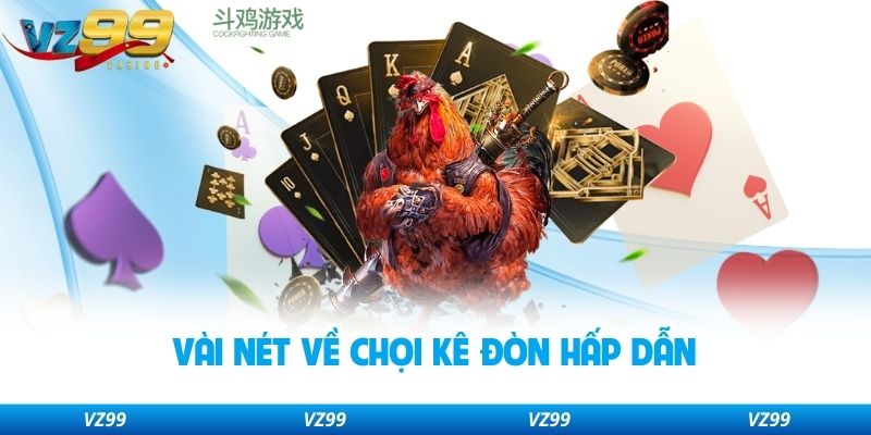 Vài nét về chọi kê đòn hấp dẫn