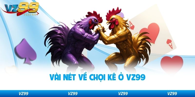 Vài nét về chọi kê ở VZ99